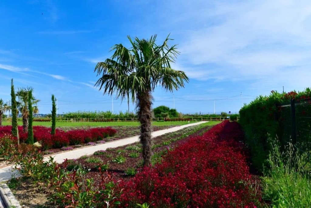 Domaine Juan Flore Antibes Buitenkant foto